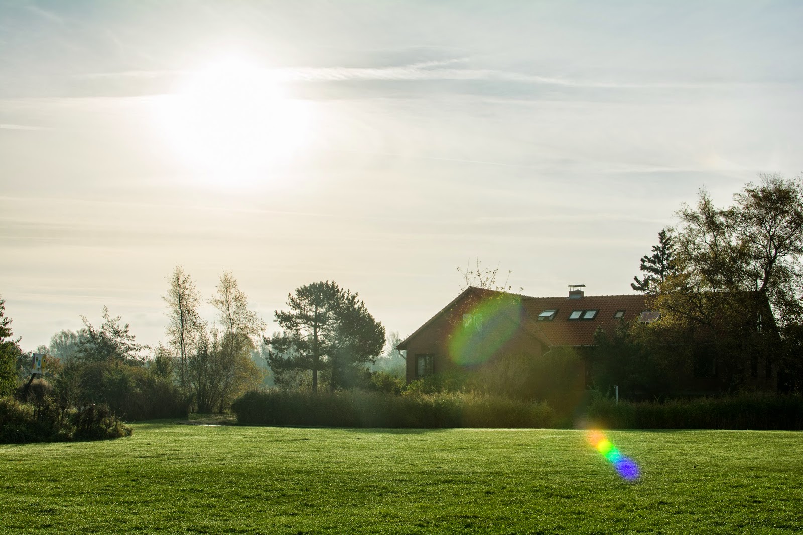 Hohenfelde – im Rückblick