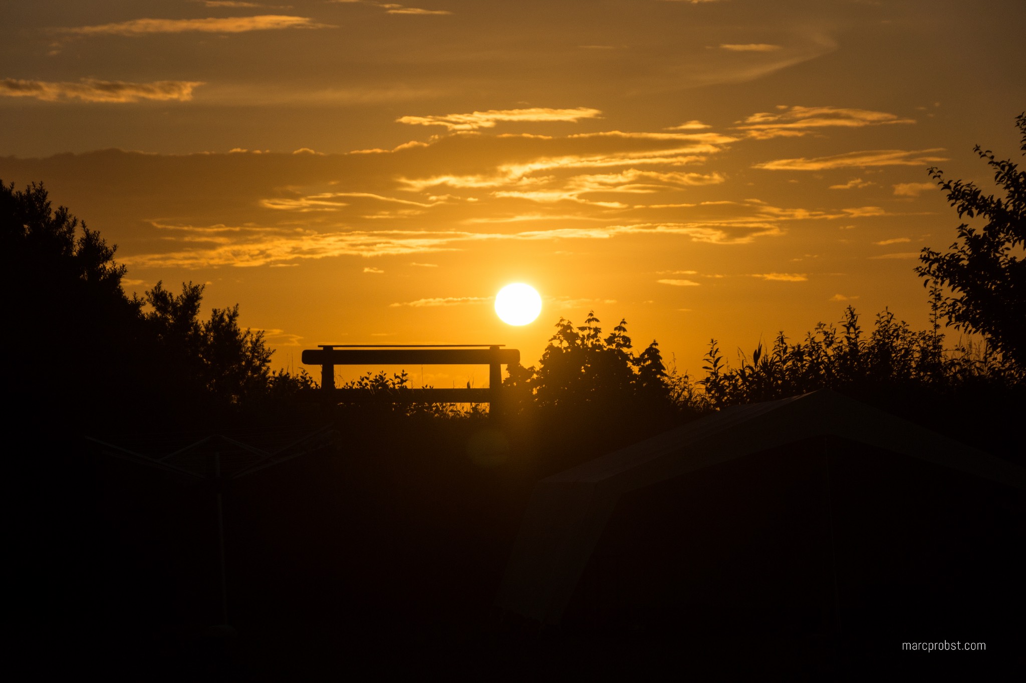 Sommer 2016 – Ergebnisse