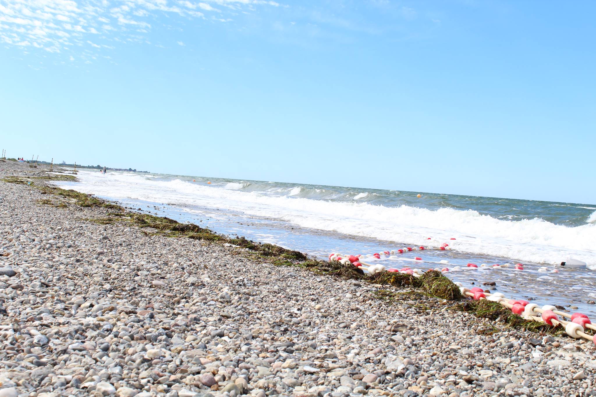 Zwölfter Tag in Hohenfelde