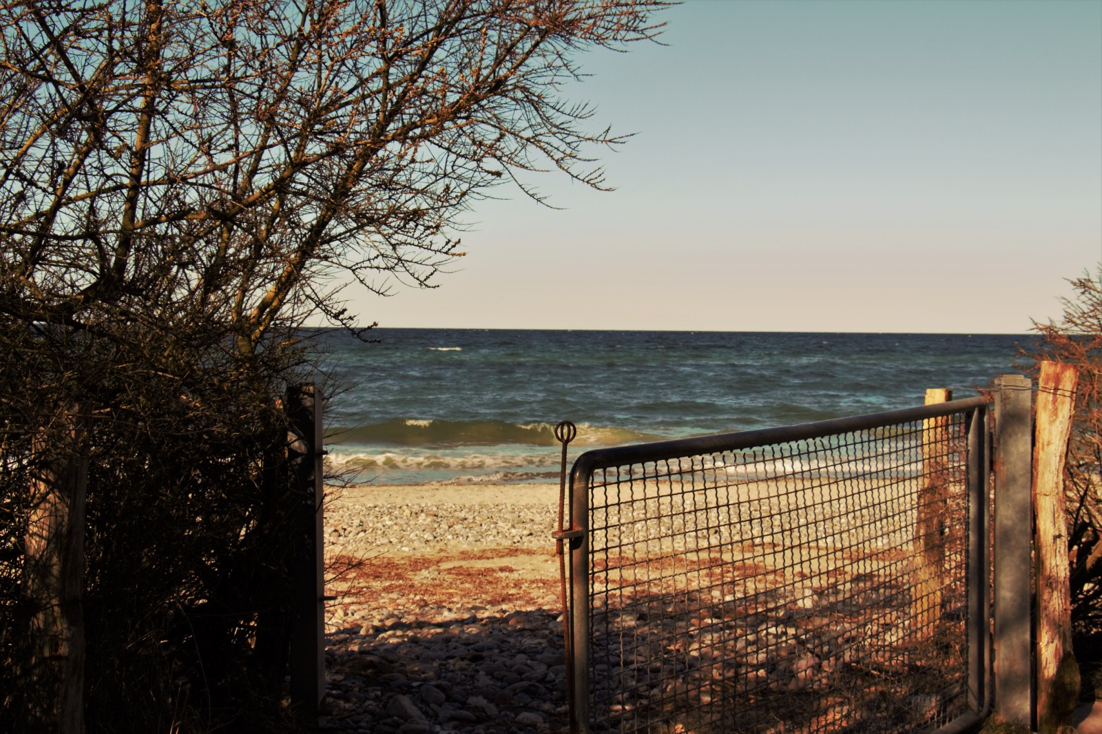 Quallenfischer-online.de – Das Tagesblatt vom 10.April