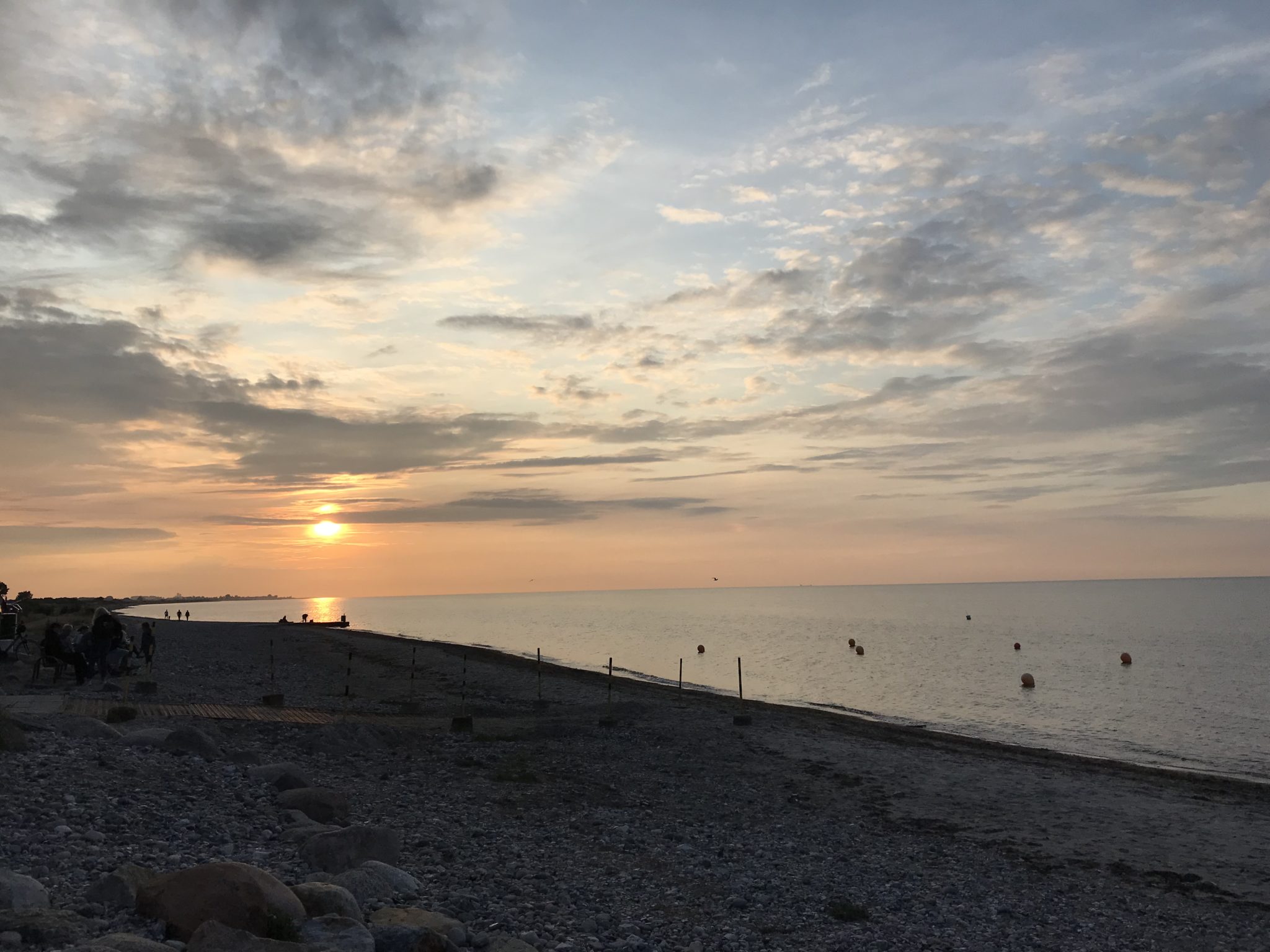 Quallenfischer – Das Tagesblatt vom 10. Juli 2019