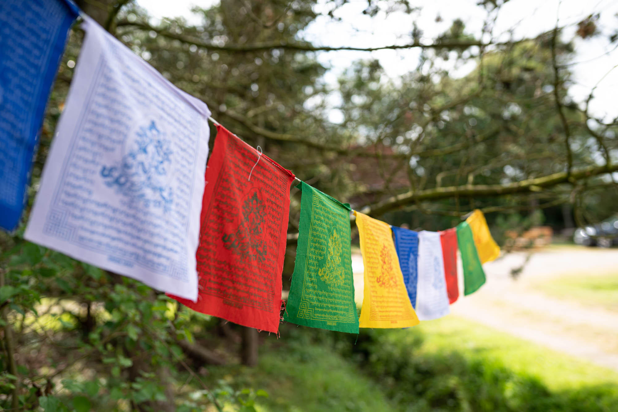 Quallenfischer – Das Tagesblatt vom 7. Juli 2019