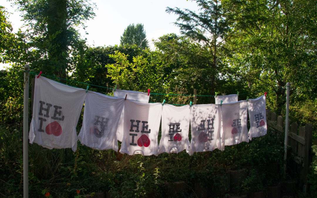 Bilder, Bilder und noch ca. 220 weiter Bilder