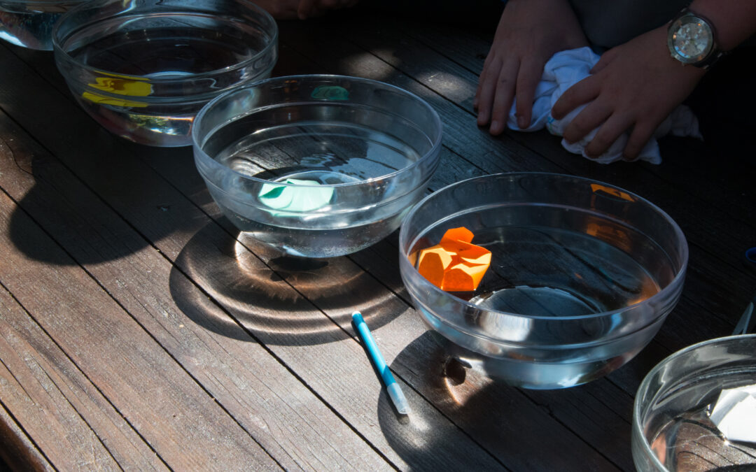 Gesegnet sind wir alle!