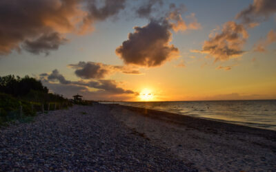 Zurückblicken und vorausschauen