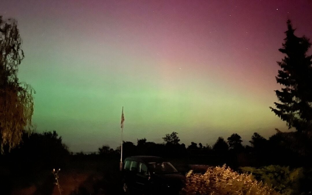 Denk doch, was du willst