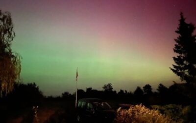 Denk doch, was du willst