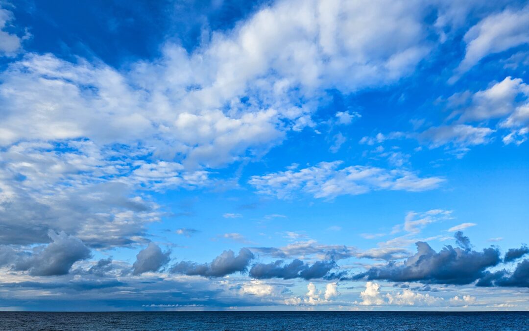 Rückblick und Ausblick