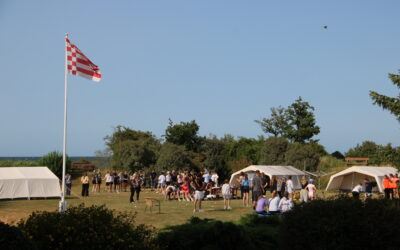 Regatta