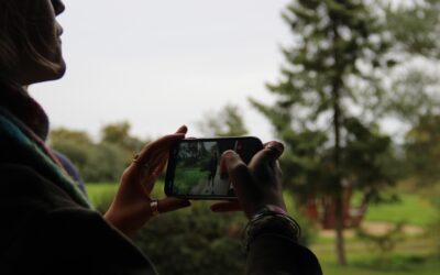 Zukunft nach dem Herbst?