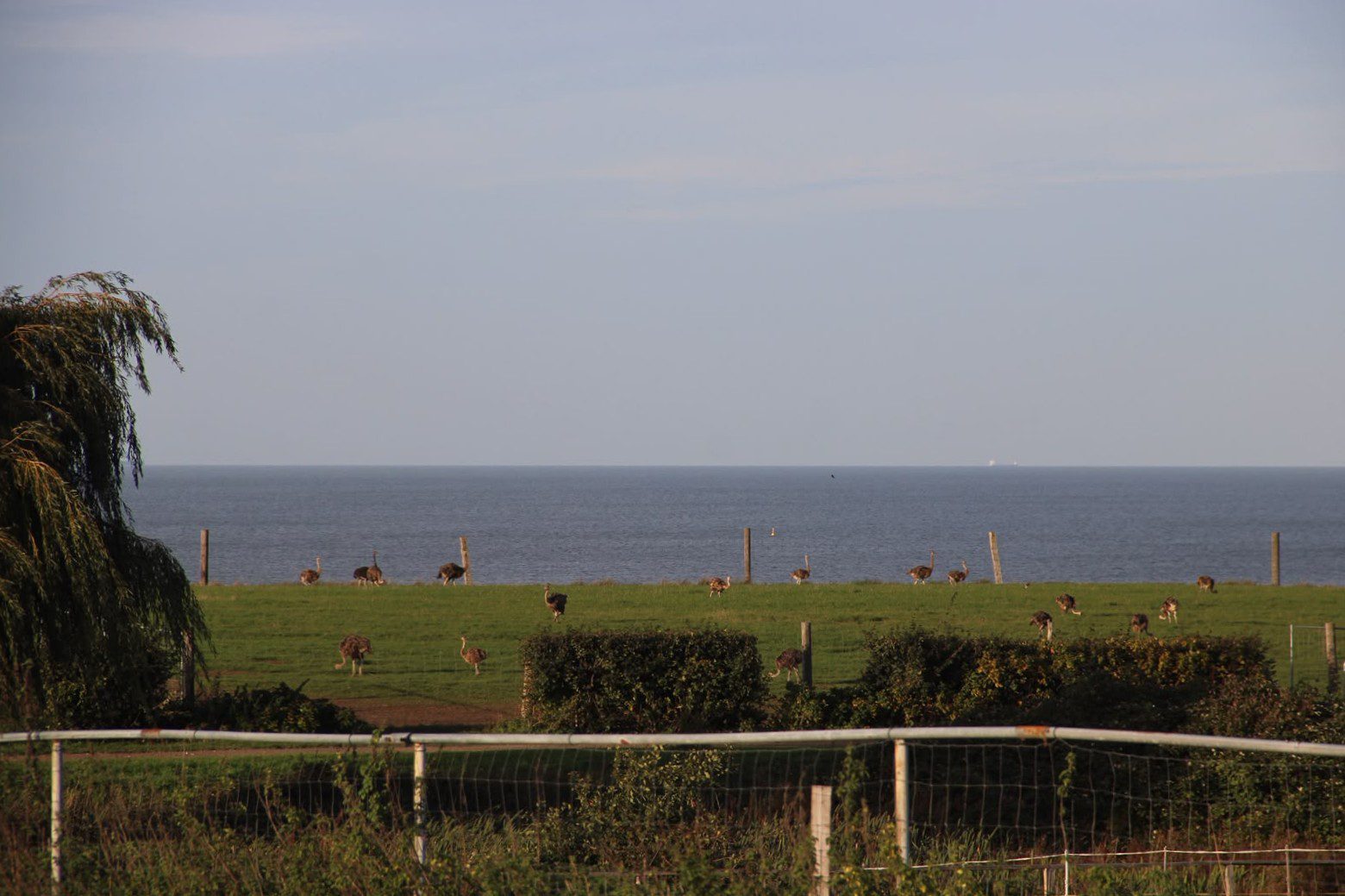 ostseeblick
